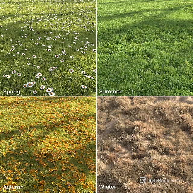 Blooming Flowers and Seasonal Grass Changes in Spring and Summer Scenery 3d model 