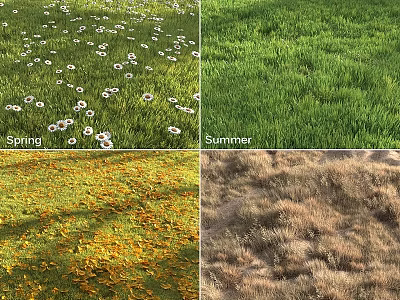 Blooming Flowers and Seasonal Grass Changes in Spring and Summer Scenery 3d model
