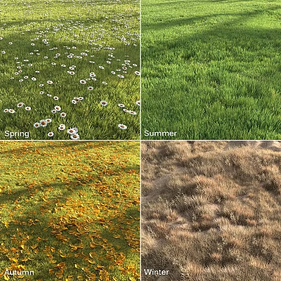 Blooming Flowers and Seasonal Grass Changes in Spring and Summer Scenery 3d model