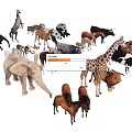 Various Reptile Species Including Lizards Snakes And Turtles In Wild Environments