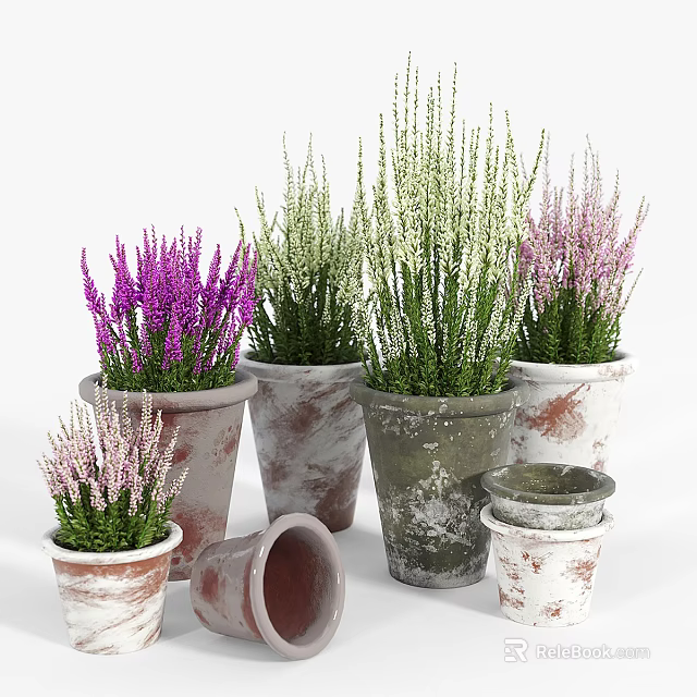 Vibrant Bonsai Potted Plants With Purple Pink Green Foliage In Terracotta Pots Of Various Sizes 3d model 