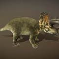 Highly Detailed Triceratops Dinosaur 3D Model With Horned Head And Frill