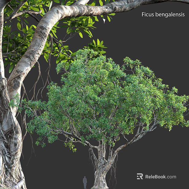 Well Designed Tree Pit With Lush Green Plants And Natural Trunk Elements 3d model 