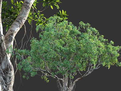 Well Designed Tree Pit With Lush Green Plants And Natural Trunk Elements 3d model
