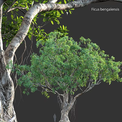 Well Designed Tree Pit With Lush Green Plants And Natural Trunk Elements 3d model