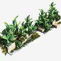 Diverse Green Plants And Flowers In Square Planters For Decorative Landscaping