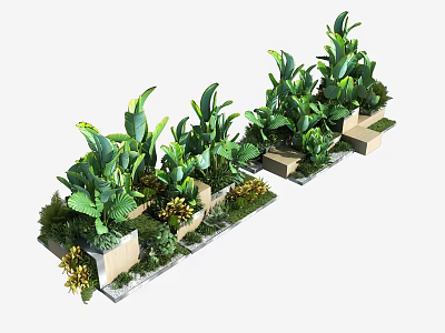 Diverse Green Plants And Flowers In Square Planters For Decorative Landscaping 3d model