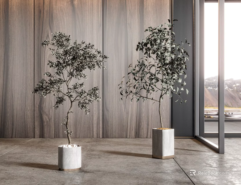 Two Bonsai Trees In White Square Planters With Wooden Wall Large Window And Mountain View 3d model 