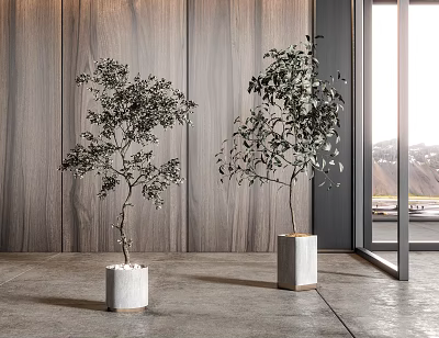 Two Bonsai Trees In White Square Planters With Wooden Wall Large Window And Mountain View 3d model