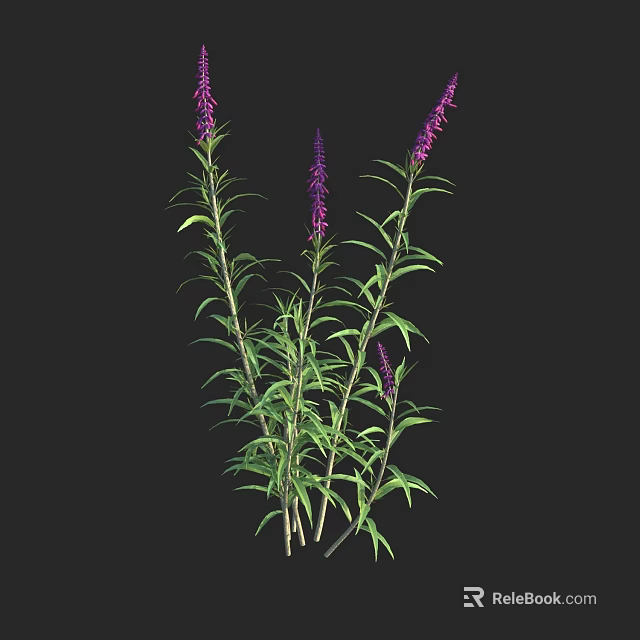 Lush Shrub With Green Leaves Vibrant Purple Flowers And Tall Stems 3d model 