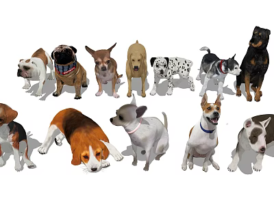 Various Reptile Species Including Lizards Snakes And Turtles In Diverse Poses 3d model