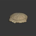 Turtle shell Han turtle shell turtle cartoon turtle snapping turtle hawksbill reptile cold-blooded animal 3d model
