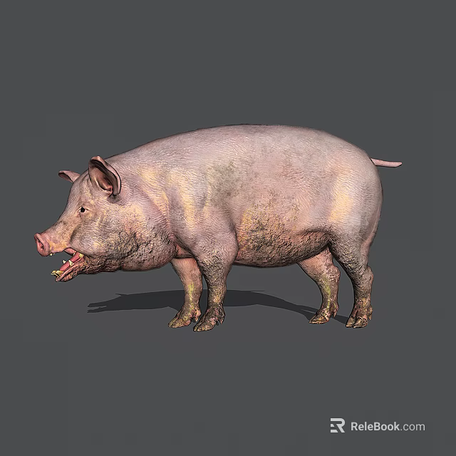 Realistic Reptile Lizard With Scaly Skin Basking On Warm Desert Rock 3d model 