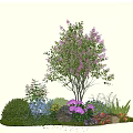 Garden Plant Combination Featuring Tree Purple Flowers Blue Pink Orange Blooms Green Shrubs And Stones