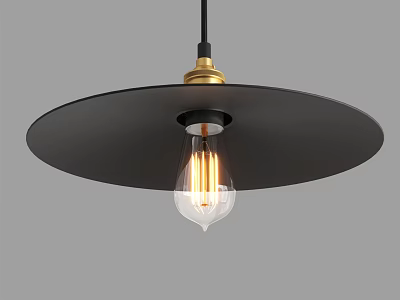 Black Circular Pendant Light With Golden Accents And Transparent Vintage Filament Bulb 3d model