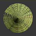 Green Layered Decorative Plant with Tree Like Structure and Textured Surface