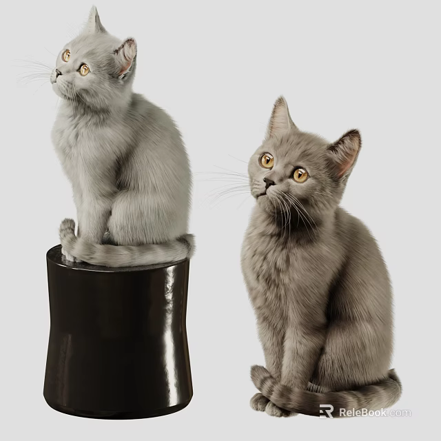 Two Gray Reptiles With Yellow Eyes Sitting On Black Object And Ground 3d model 