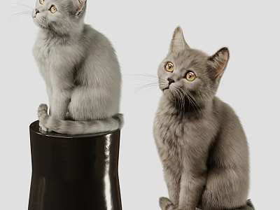 Two Gray Reptiles With Yellow Eyes Sitting On Black Object And Ground 3d model