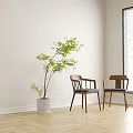 Modern Wooden Frame Leisure Chairs With Gray Cushion Indoor Green Plant And Window