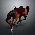 Brown Horse Wearing Red Saddle Bowing Head With Bent Front Legs On Gray Background