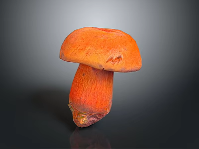 Human Organ Structure And Hair Follicle Growth Healthy Maintenance Tips 3d model
