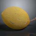 Fresh Yellow Fruit With Spotted Surface And Brown Stem On Dark Background 3d model