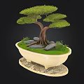Artistic Bonsai Tree In Cream Ceramic Pot With Exposed Roots Green Foliage And Stones