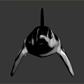 Whale 3D Model with Blue and White Coloration Fins and Tail on Dark Background