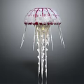White Jellyfish With Red Spots And Long Transparent Tentacles Against Dark Background