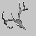 Natural Deer Skull With Antlers For Rustic Home Decoration 3d model