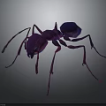 Purple Ant 3D Rendered Detailed Insect With Long Legs And Realistic Body