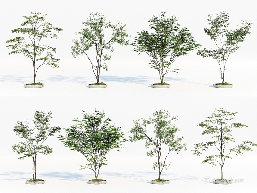 Arbor Trees With Green Leaves Different Trunk Shapes And Circular Base On White Background 3d model 