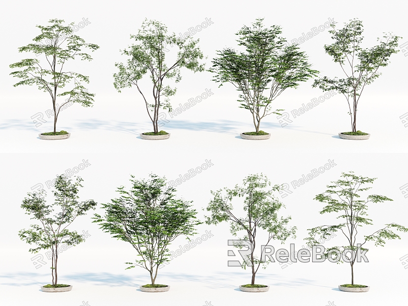 Landscape Trees Courtyard Landscape Trees Street Trees Arbor model