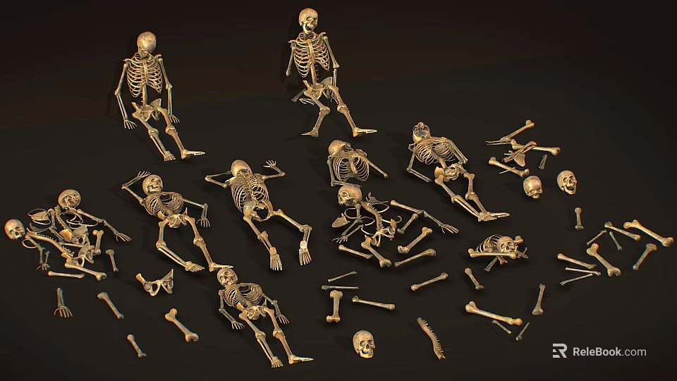 Golden Human Skeleton Models With Complete Limb Bones And Scattered Skeletal Parts 3d model 