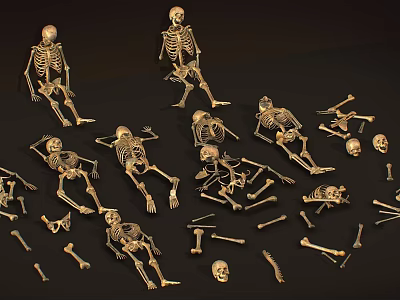 Golden Human Skeleton Models With Complete Limb Bones And Scattered Skeletal Parts 3d model
