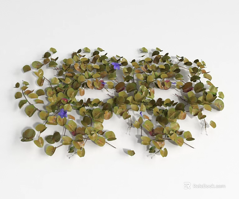 Ground Cover Plants With Green Leaves And Purple Flowers For Garden Landscaping 3d model 