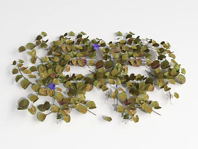 Ground Cover Plants With Green Leaves And Purple Flowers For Garden Landscaping 3d model