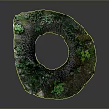 Lush Green Plants Growing Around Tree Stump Base With Natural Bark Texture