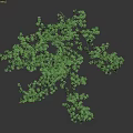 Lush Green Vines With Fresh Leaves And Natural Decorative Growth Pattern