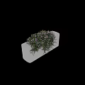 Ornamental Decorative Set Featuring Purple Flowers Green Foliage and White Planter