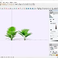Lush Green Shrubs With Broad Leaves For Garden Landscape Decoration