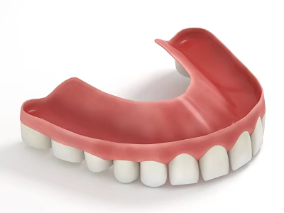 Dental Upper Jaw Denture Model with Red Gum Base and White Teeth 3d model
