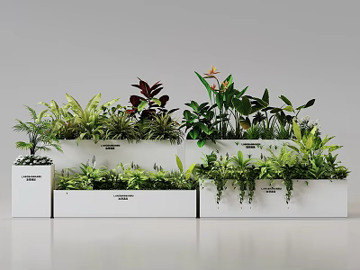 Various Potted Bonsai Plants with Lush Green Foliage in White Planters Arranged Neatly 3d model