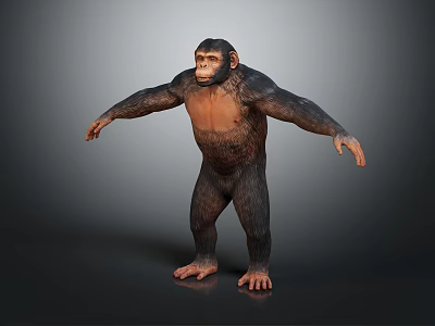 Standing Chimpanzee With Outstretched Arms And Muscular Build In Detailed 3D Rendering 3d model