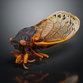 Modern cicada cicada cicada shell 3d model