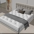 Elegant Double Bed With Upholstered Headboard Mattress Wooden Wall And Green Plant