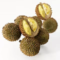 Fresh Durian Fruits With Whole And Cut Open Ones Showing Yellow Flesh