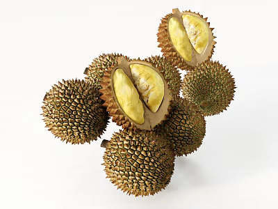 Fresh Durian Fruits With Whole And Cut Open Ones Showing Yellow Flesh 3d model