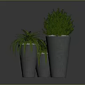 Lush Green Plants Arrangement With Fern And Bush In Gray Concrete Pots
