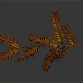 Autumn Branch With Orange And Red Leaves Showing Gradient Colors On Gray Background